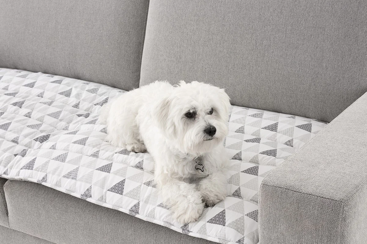 Topper ‘PetFriendly’ Protege tu Sofá de Mascotas y Manchas modelo Zazu Topper ‘PetFriendly’ Protege tu Sofá de Mascotas y Manchas modelo Zazu