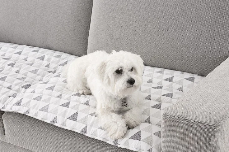 Topper ‘PetFriendly’ Protege tu Sofá de Mascotas y Manchas modelo Zazu