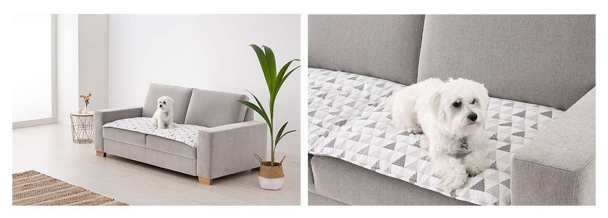 Banner de oferta